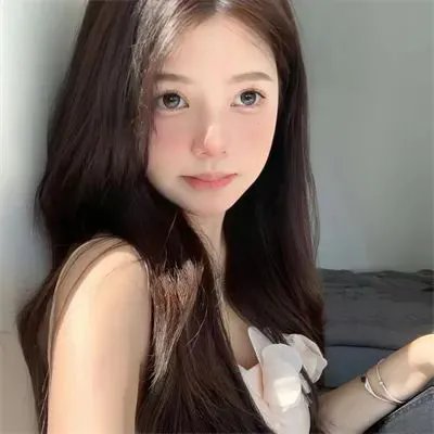 高速路上一只猫